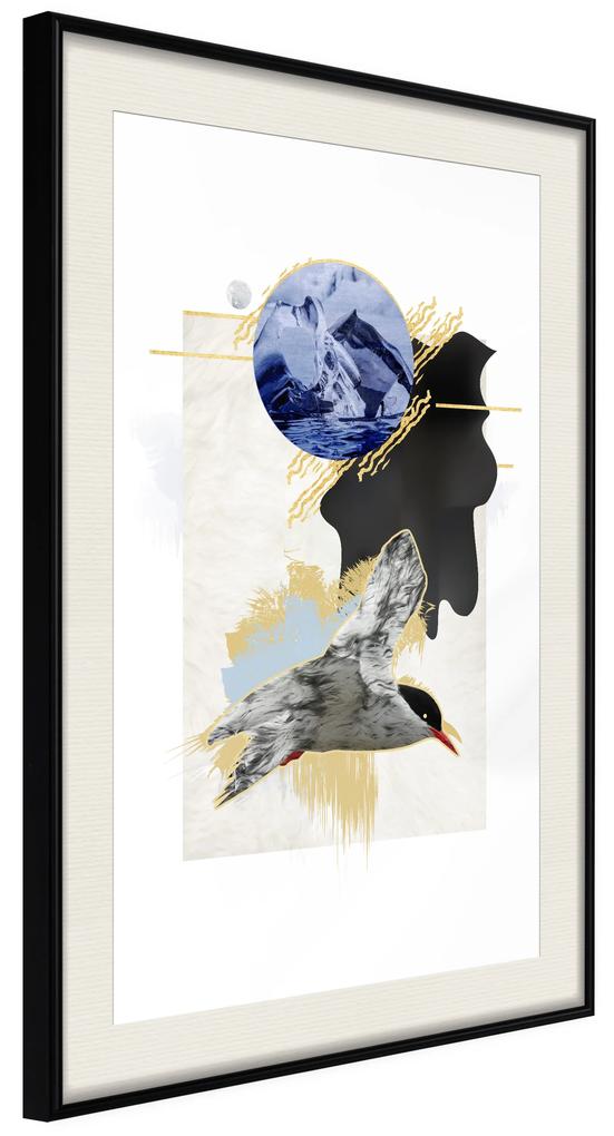 Artgeist Plagát - Antarctic Tern [Poster] Veľkosť: 20x30, Verzia: Čierny rám s passe-partout
