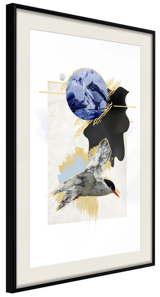 Artgeist Plagát - Antarctic Tern [Poster] Veľkosť: 20x30, Verzia: Zlatý rám s passe-partout