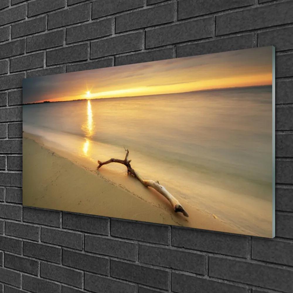 Skleneny obraz Oceán pláž príroda 125x50 cm