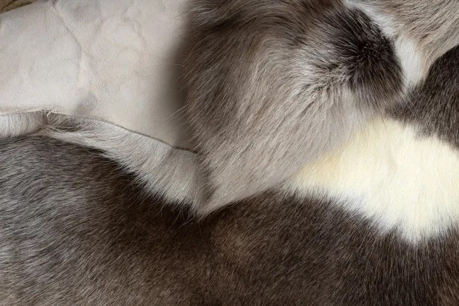 Koberec RENIFER POK019 hnedý