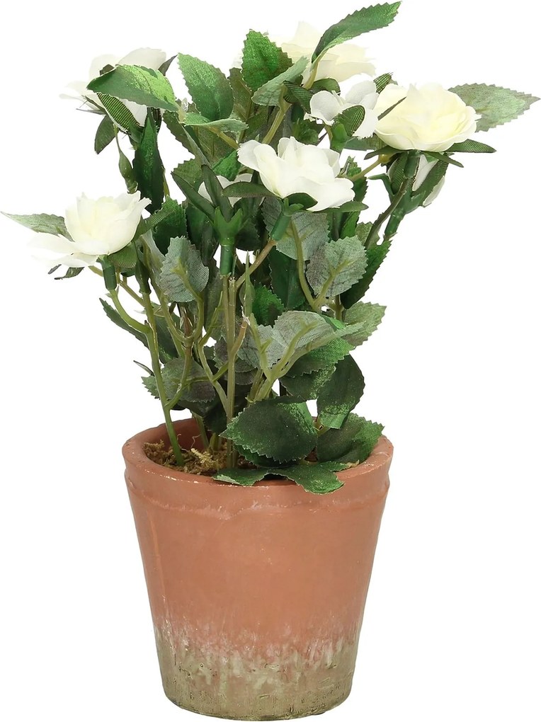 Dekorácie White Rose 24cm