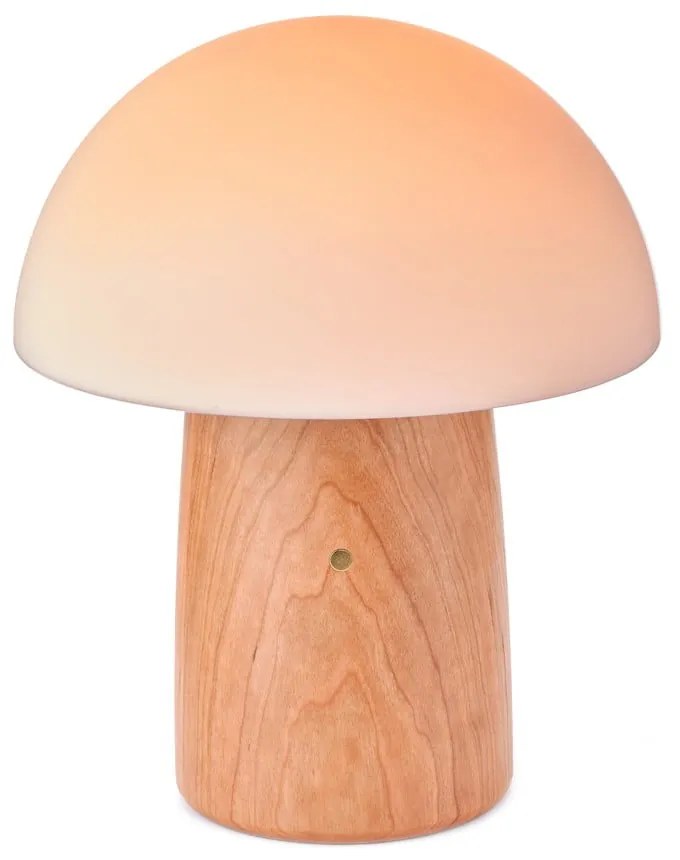 Stmievateľná stolová lampa v prírodnej farbe so skleneným tienidlom (výška 32 cm) Alice - Gingko