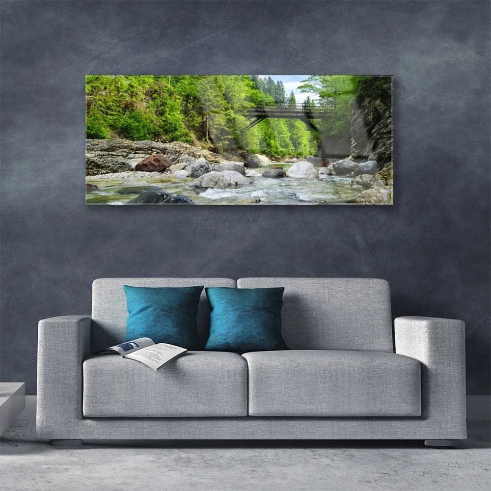 Obraz plexi Drevený most v lese 125x50 cm