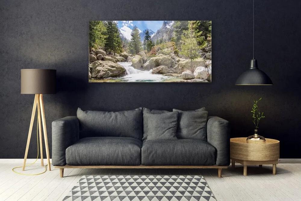 Obraz plexi Hora les kamene rieka 120x60 cm