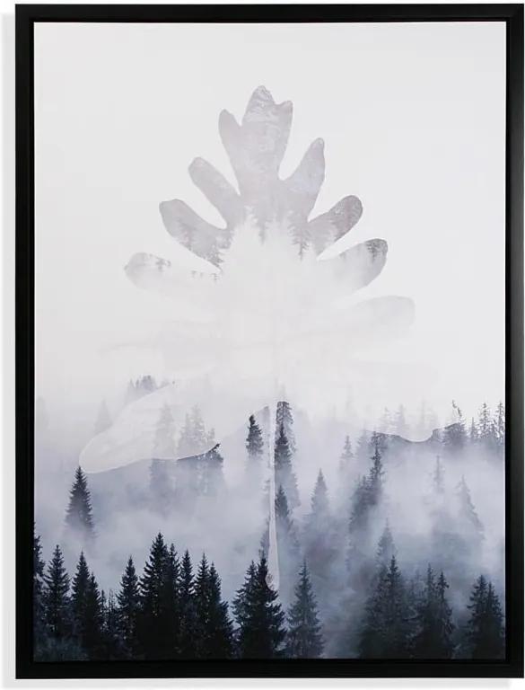 Obraz Versa Leaf Cloudy Forest, 60 × 80 cm