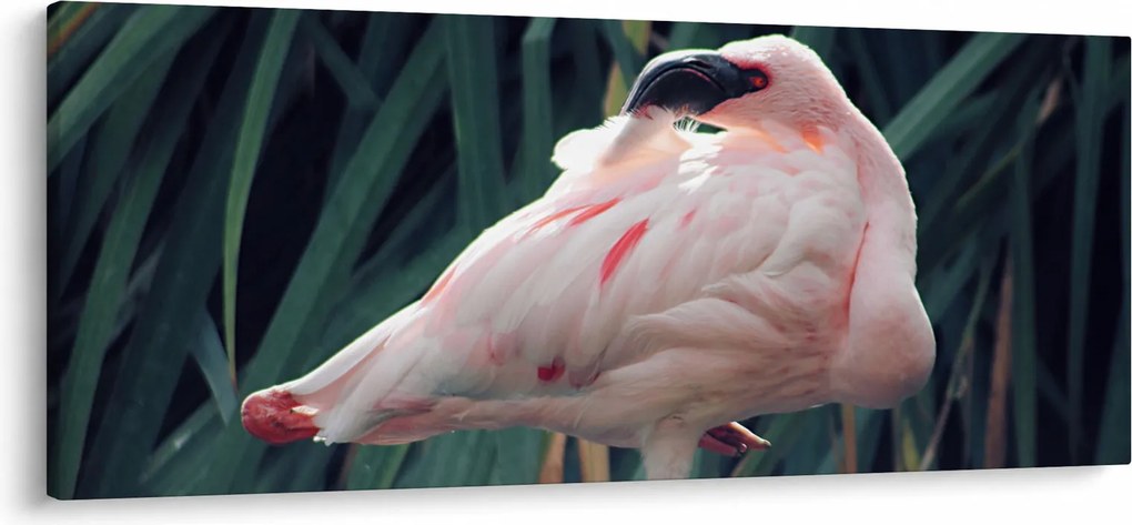 Obraz - Plameniak (120x50 cm)