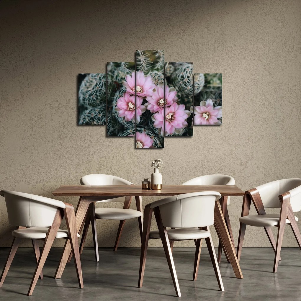Obraz kvet kaktusu (150x105 cm)