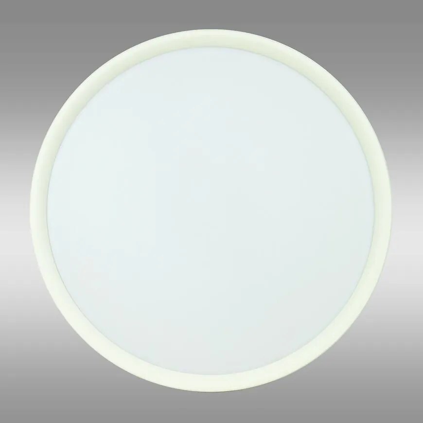 Stropnica MIA VO2884 18W WHITE 4000K 29CM PL1