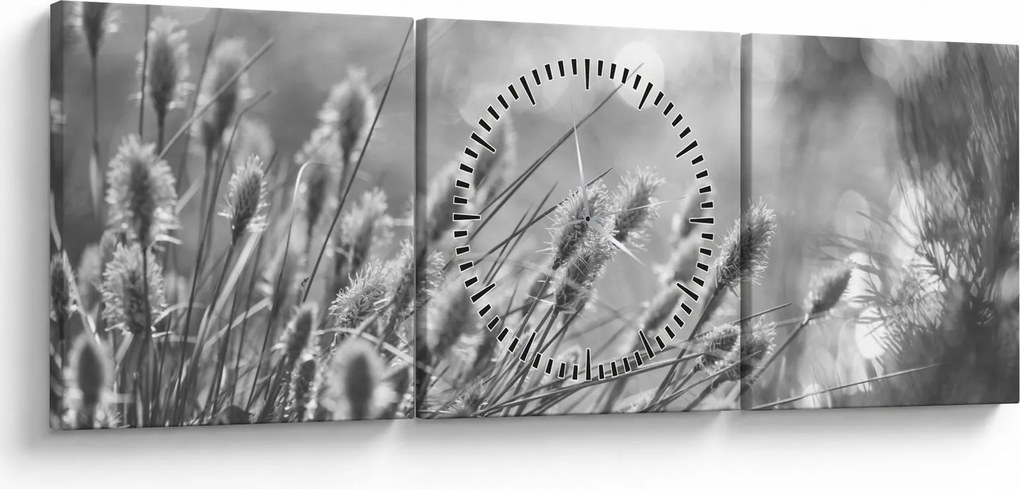 Obraz - Béžová soft grass N⁰1 (s hodinami) (90x30 cm)
