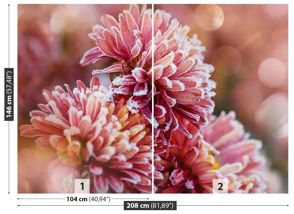 Fototapeta Vliesová Aster ice pink 152x104 cm