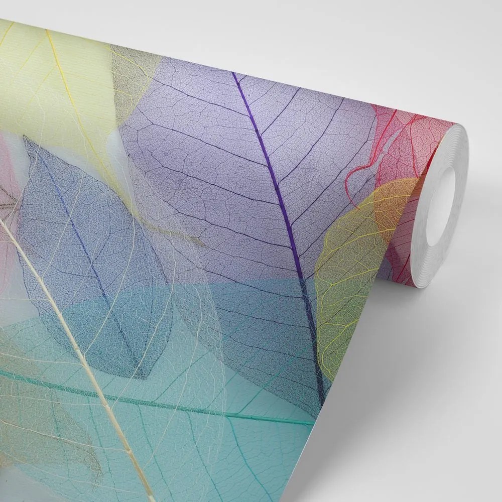 Samolepiaca tapeta priehľadné farebné listy