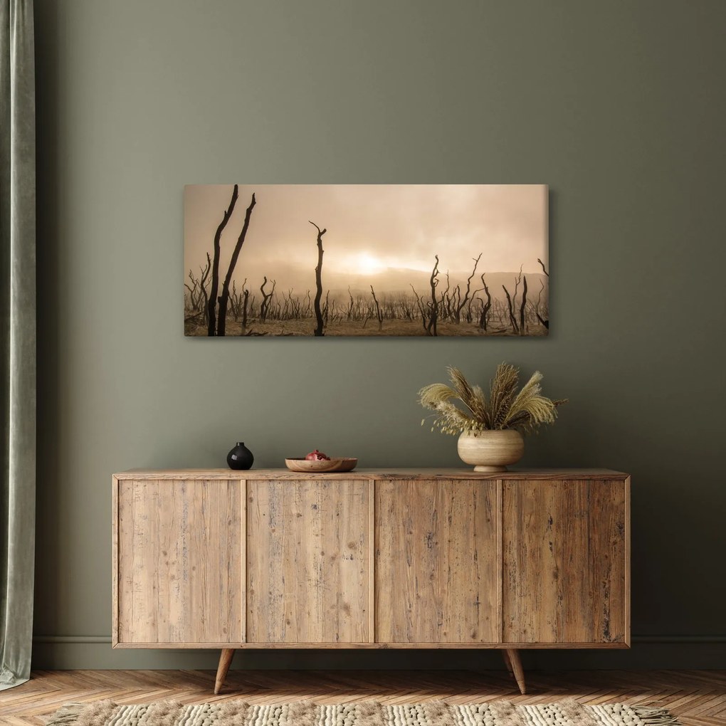 Obraz - Holé stromy (120x50 cm)