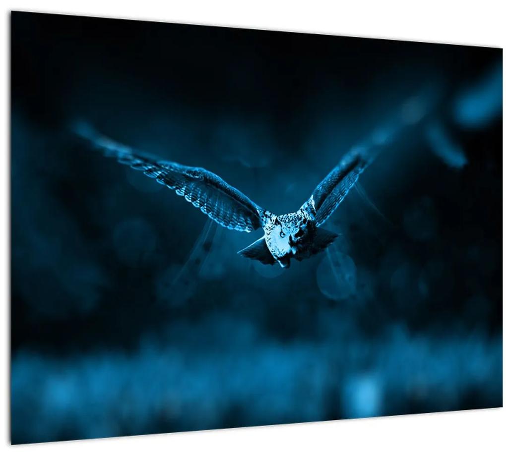 Sklenený obraz letiacej sovy (70x50 cm)