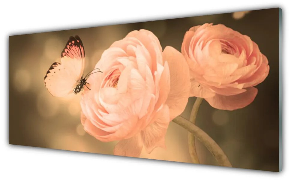 Obraz plexi Motýľ ruže príroda 125x50 cm