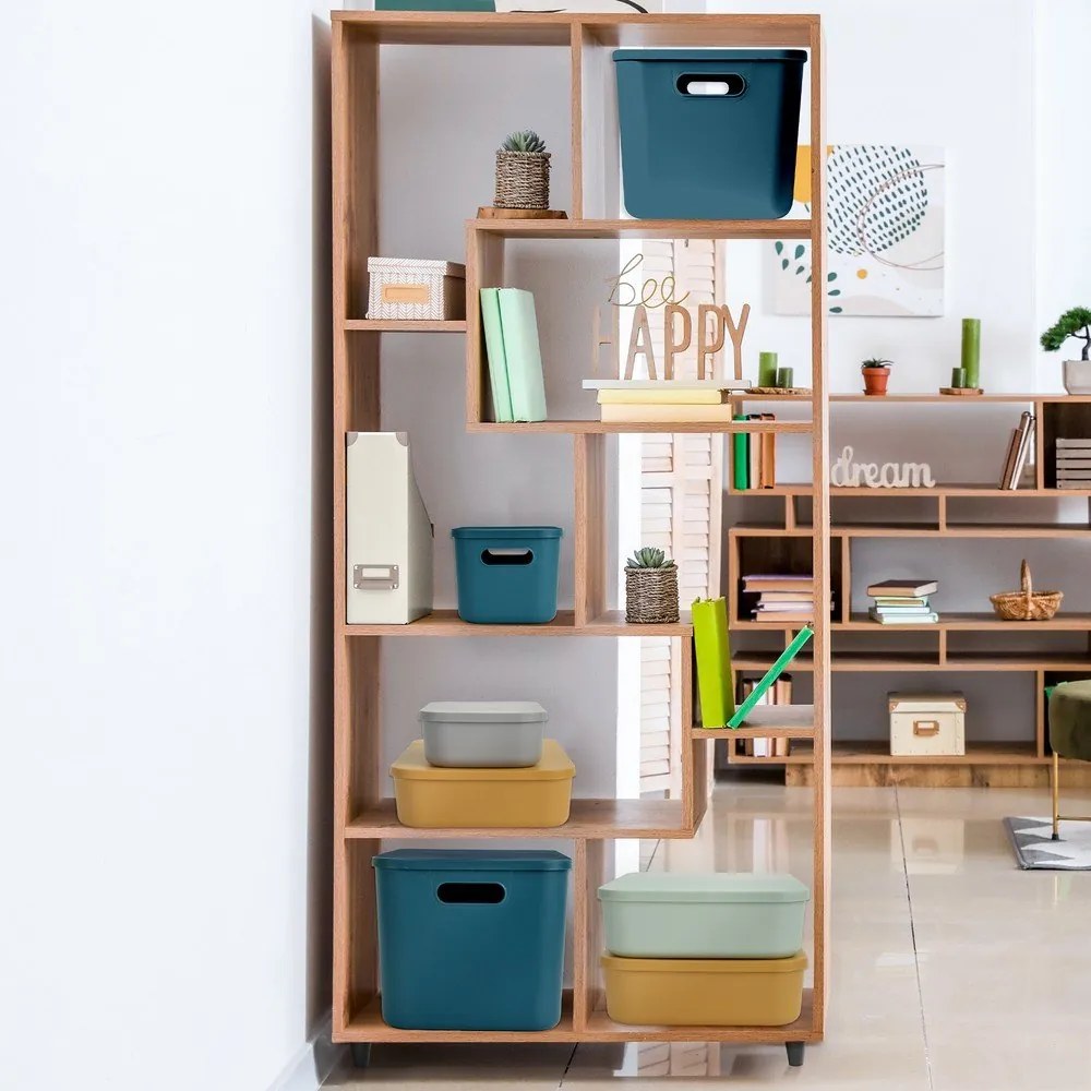 Sivý plastový úložný box s vekom 35,5x25,5x16 cm – Homéa