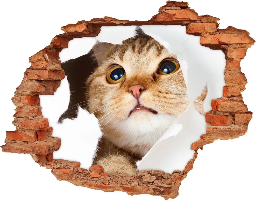 Diera 3D fototapeta na stenu Mačka v diere WallHole-cegla-90x70-33902265