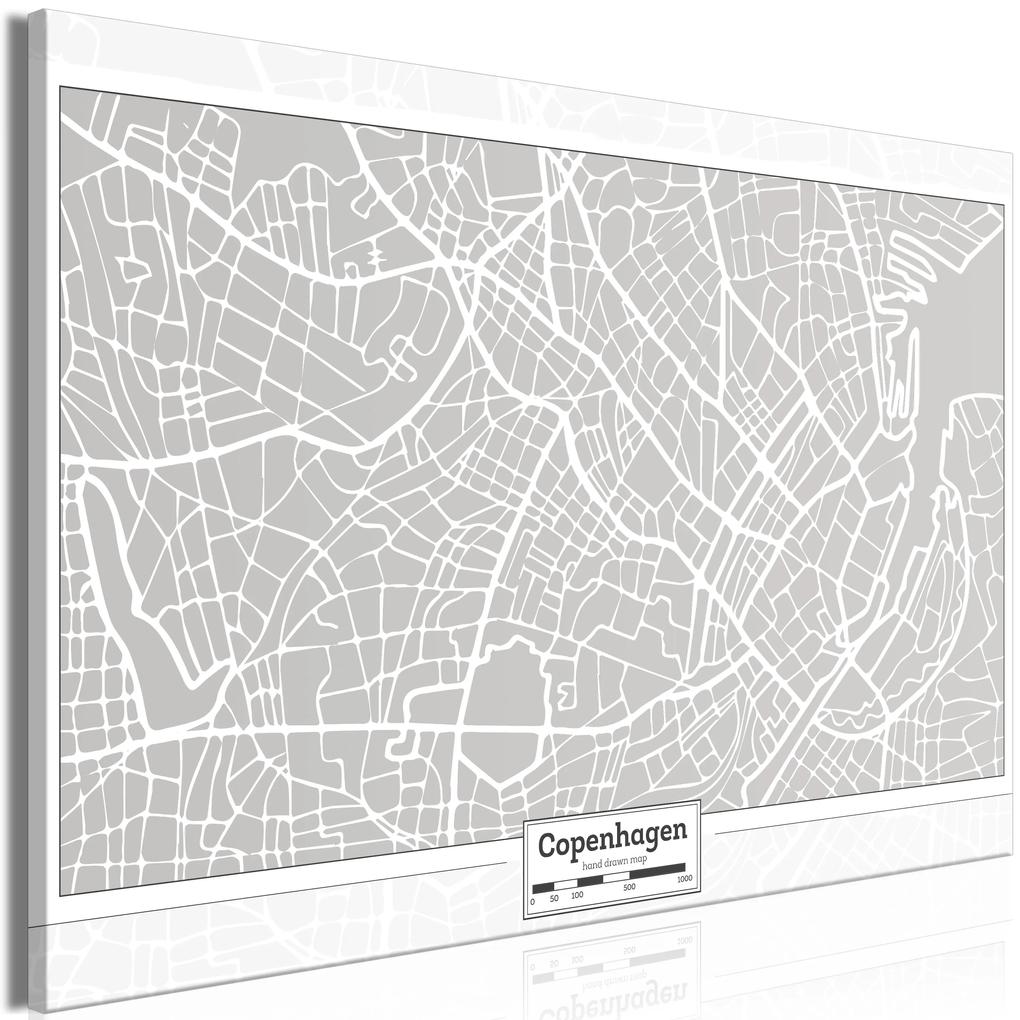 Artgeist Obraz - Capital of Denmark (1 Part) Wide Veľkosť: 120x80, Verzia: Premium Print
