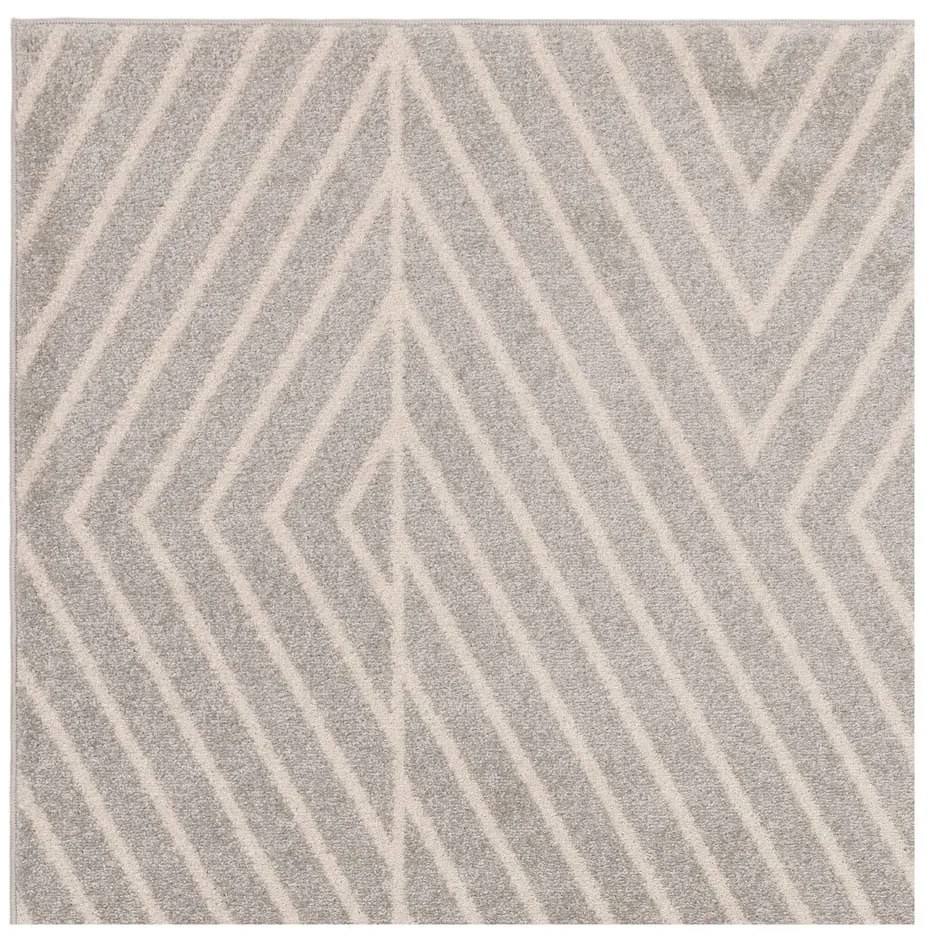 Svetlosivý koberec behúň 66x240 cm Muse – Asiatic Carpets