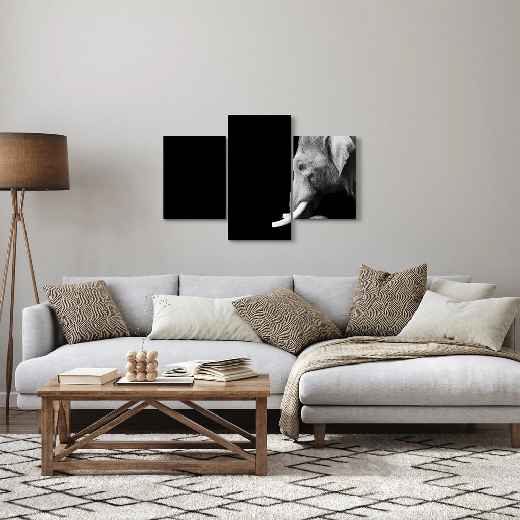 Obraz - Slon (90x60 cm)