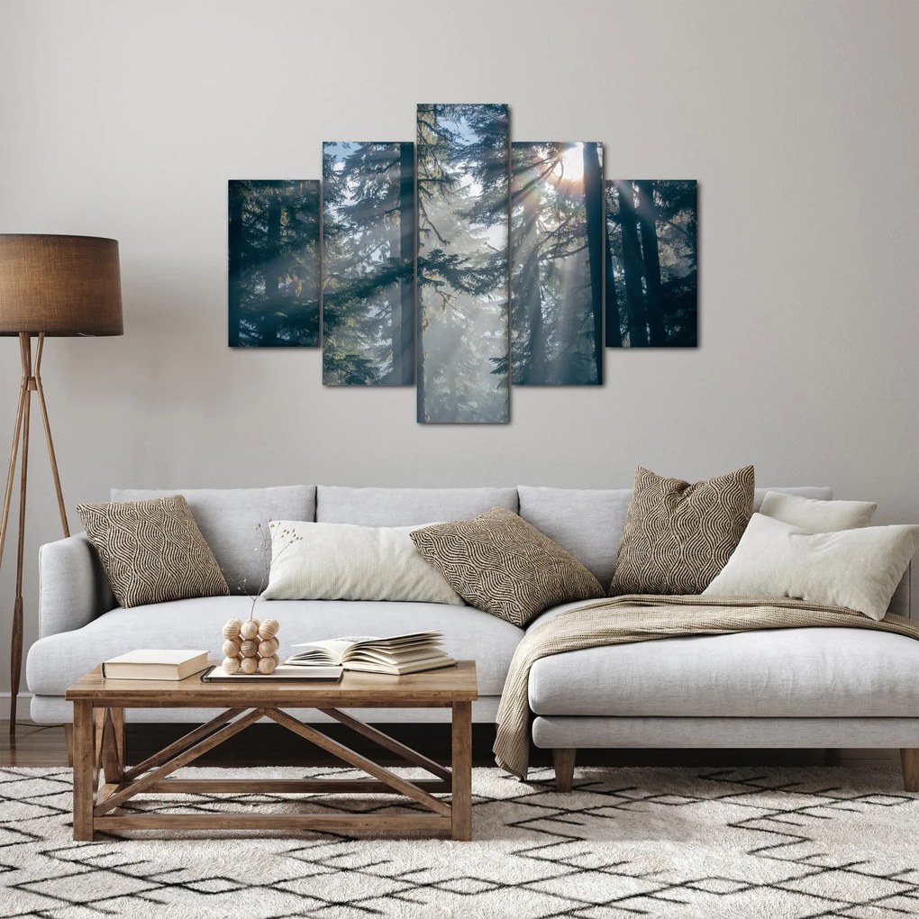 Obraz stromov s presvitajúcim slnkom (150x105 cm)