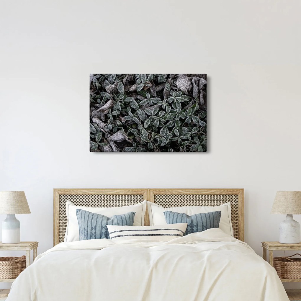 Obraz - Zamrznuté rastliny (90x60 cm)