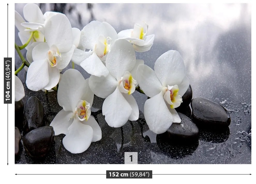 Fototapeta Vliesová Orchidea kamene 208x146 cm