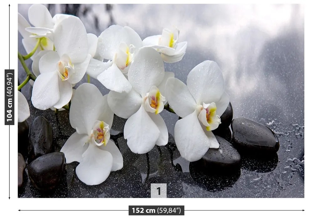 Fototapeta Vliesová Orchidea kamene 250x104 cm