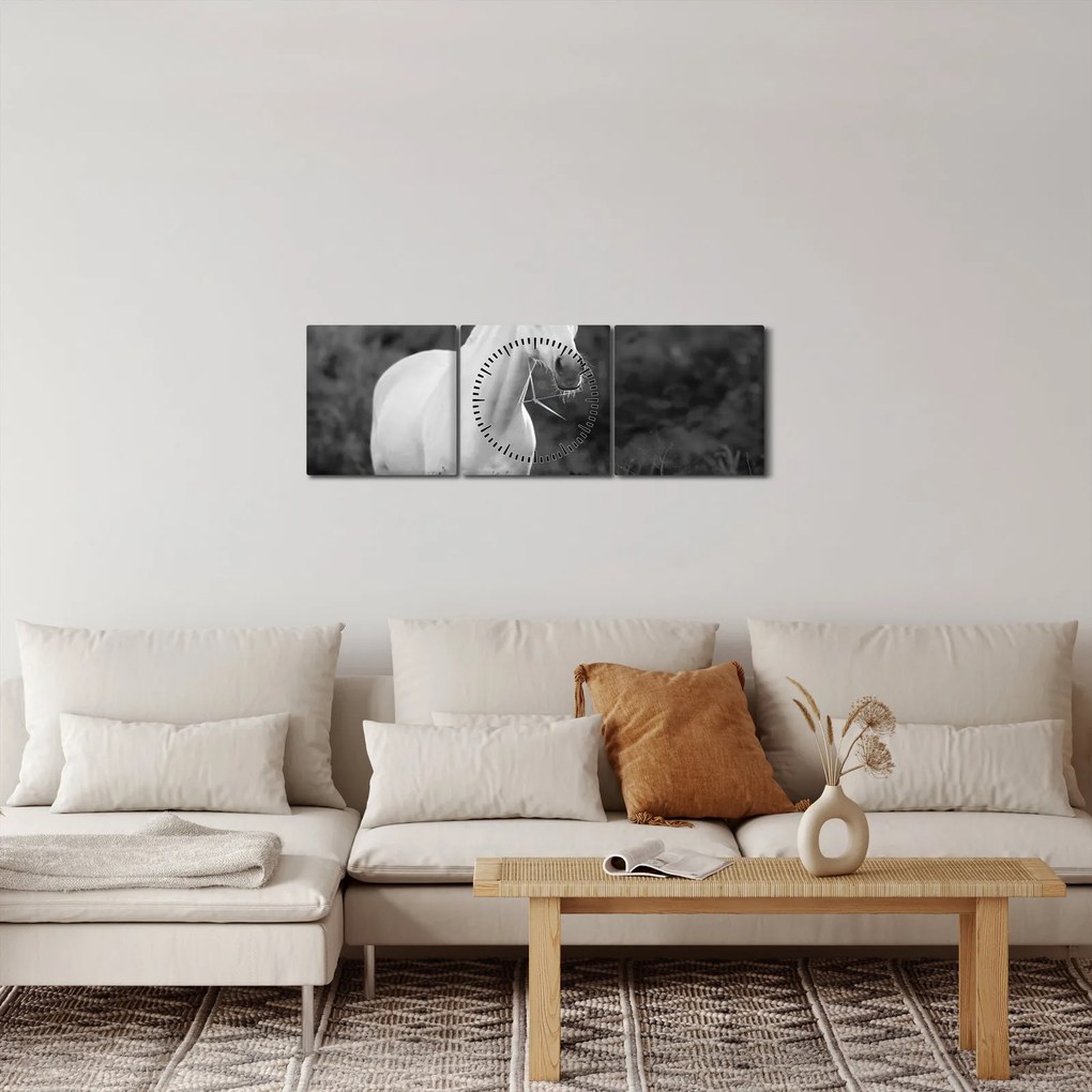 Obraz bieleho koňa na lúke, čiernobiela (s hodinami) (90x30 cm)