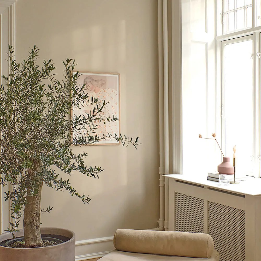 The Poster Club Plagát Secret Notes by Sofia Lind 50x70 cm