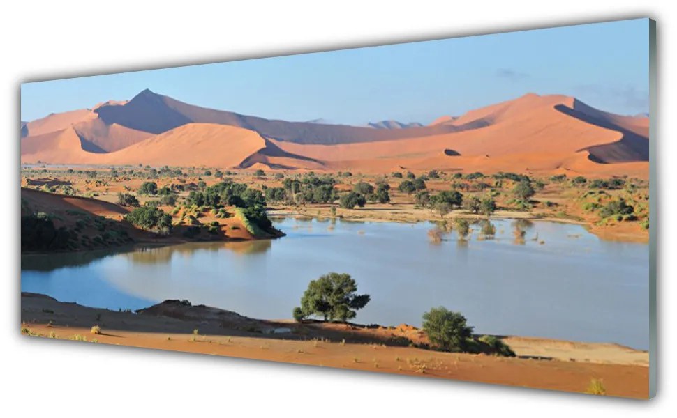 Obraz plexi Jazero púšť krajina 125x50 cm