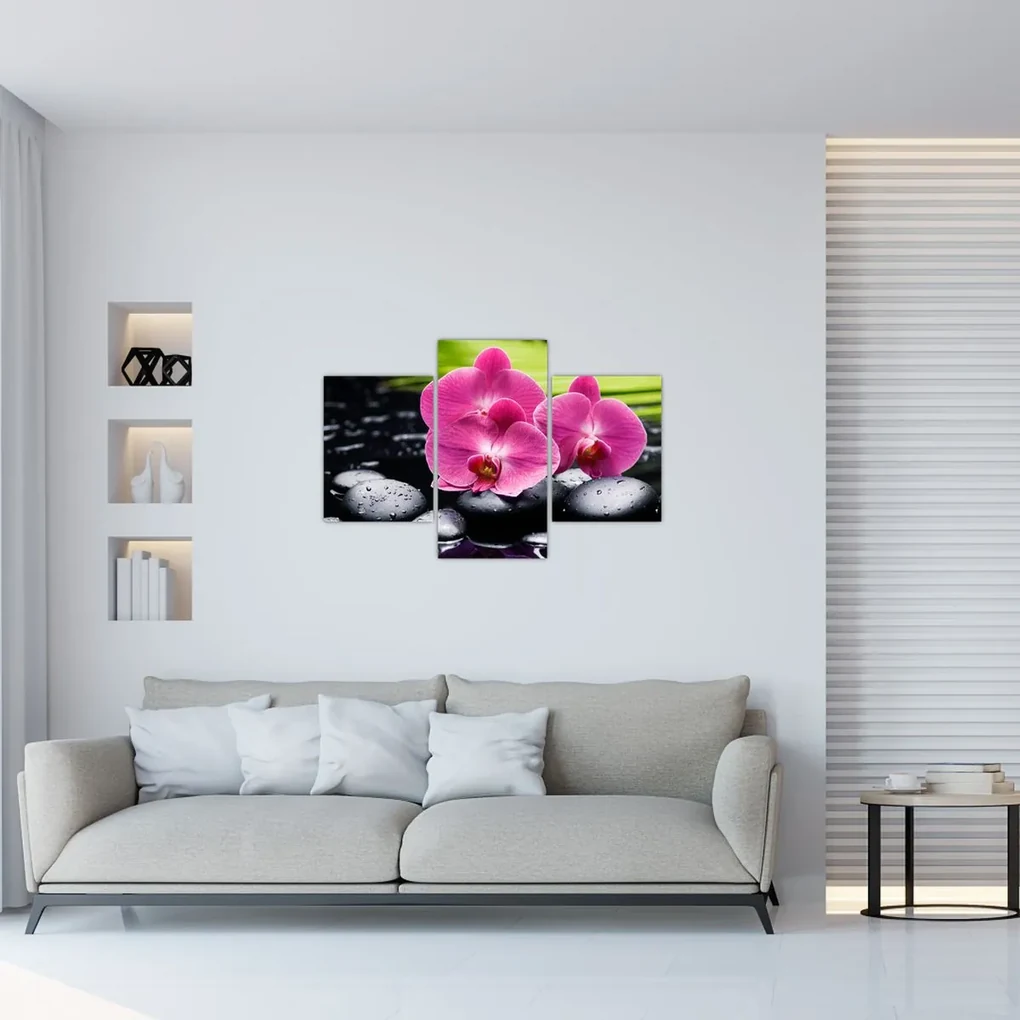Obraz - Ružové orchidey s palmovým listom (90x60 cm)