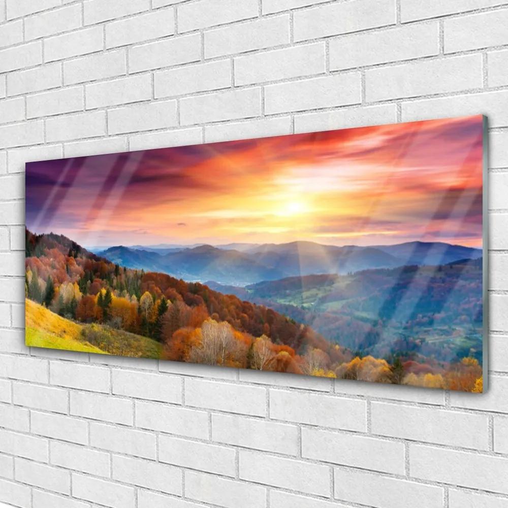 Obraz plexi Hora les slnko krajina 125x50 cm