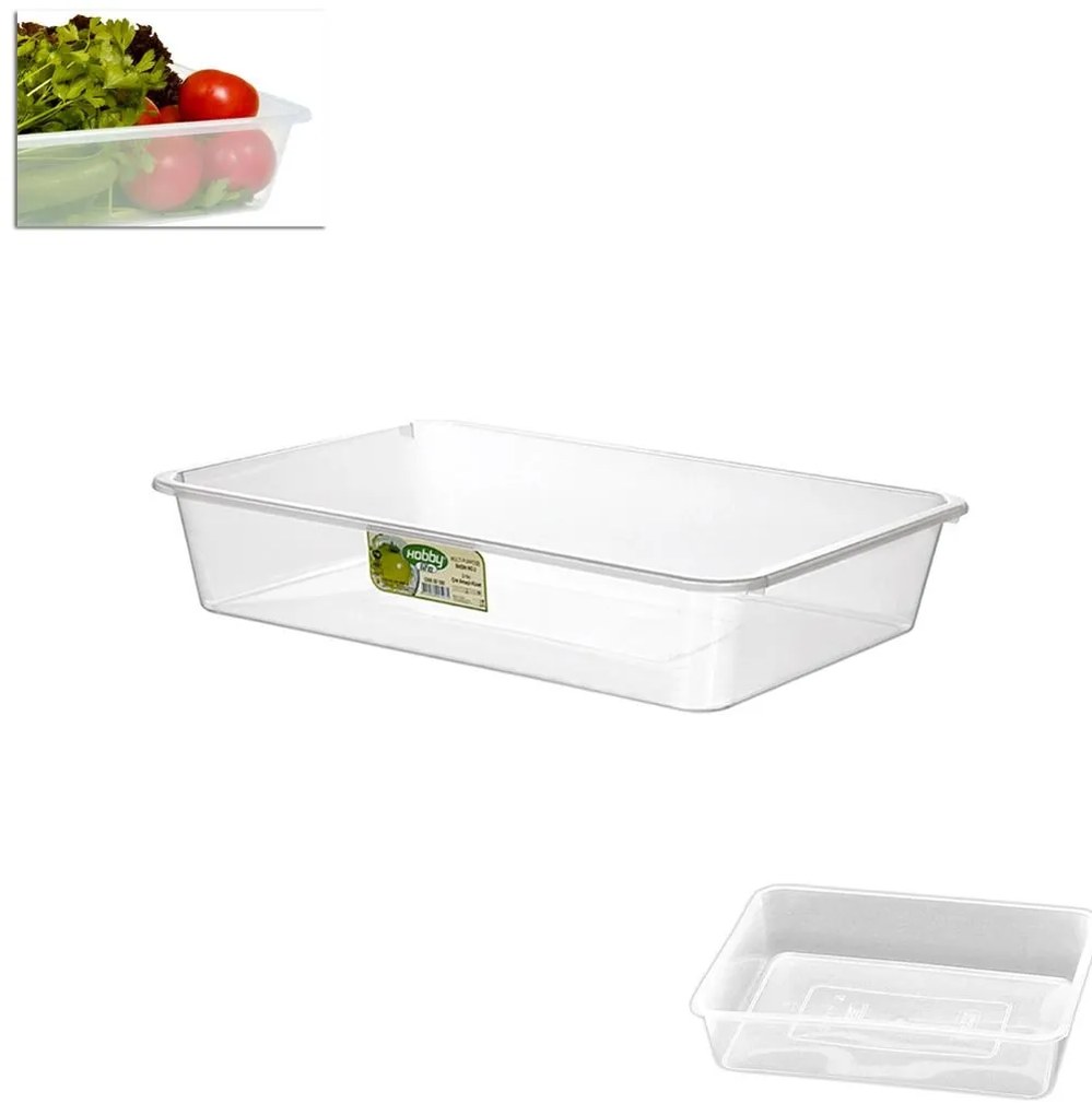 Orion Plochý transparentní box bez víka, miska, XL - 46x33,5x9cm, BOWL