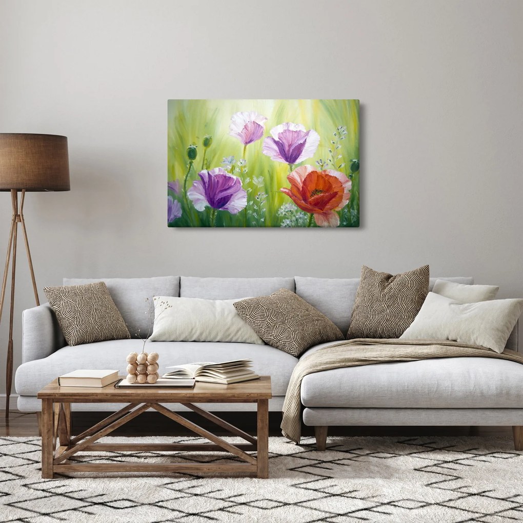 Obraz - Vlčie maky (90x60 cm)