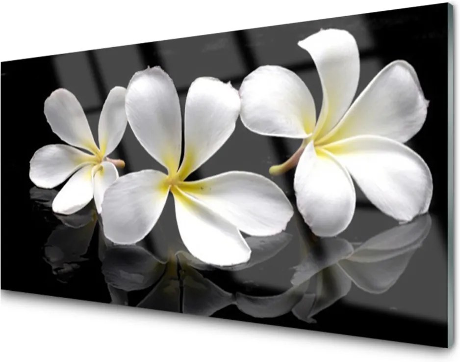 Obraz na skle Sklenený Kvety Rastlina
