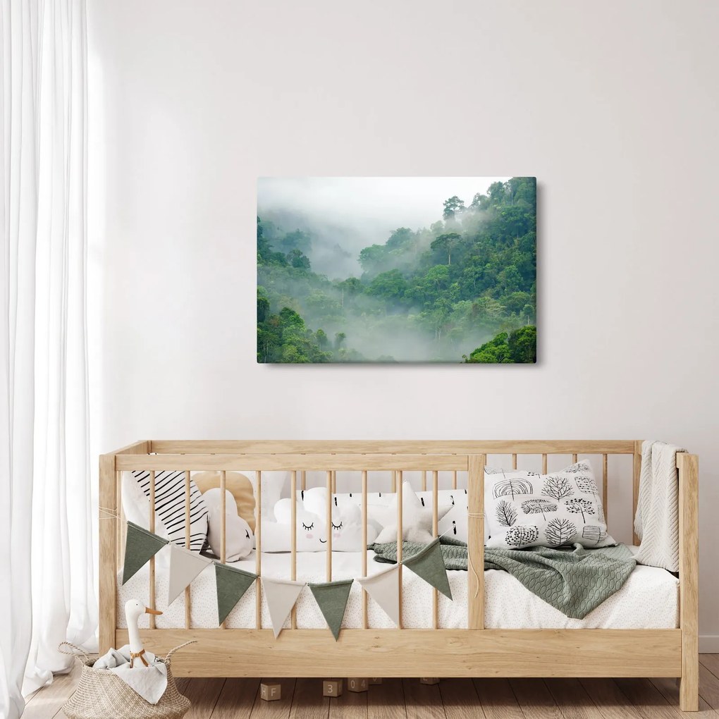 Obraz - Ranná hmla (90x60 cm)