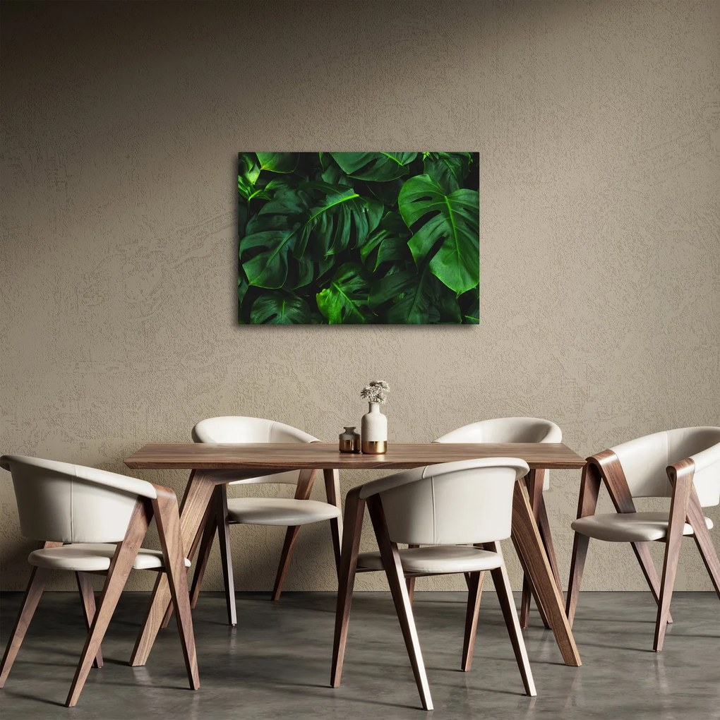 Obraz listov Monstery (70x50 cm)