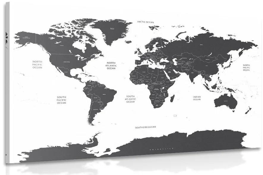 Obraz mapa sveta s jednotlivými štátmi v sivej farbe Varianta: 120x80