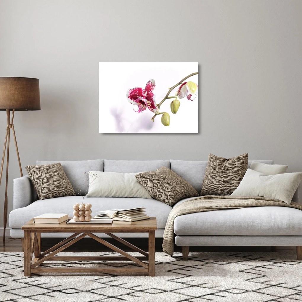 Sklenený obraz kvetu orchidey (70x50 cm)