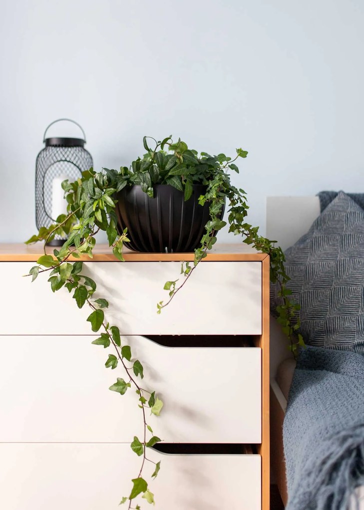 Květináč STRIPPED Eco 30x16 cm antracitový