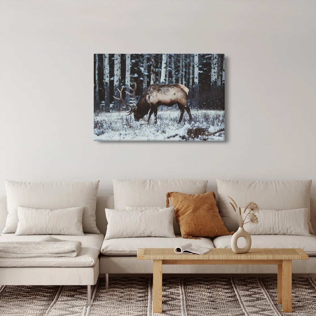 Obraz - jeleň v zime (90x60 cm)