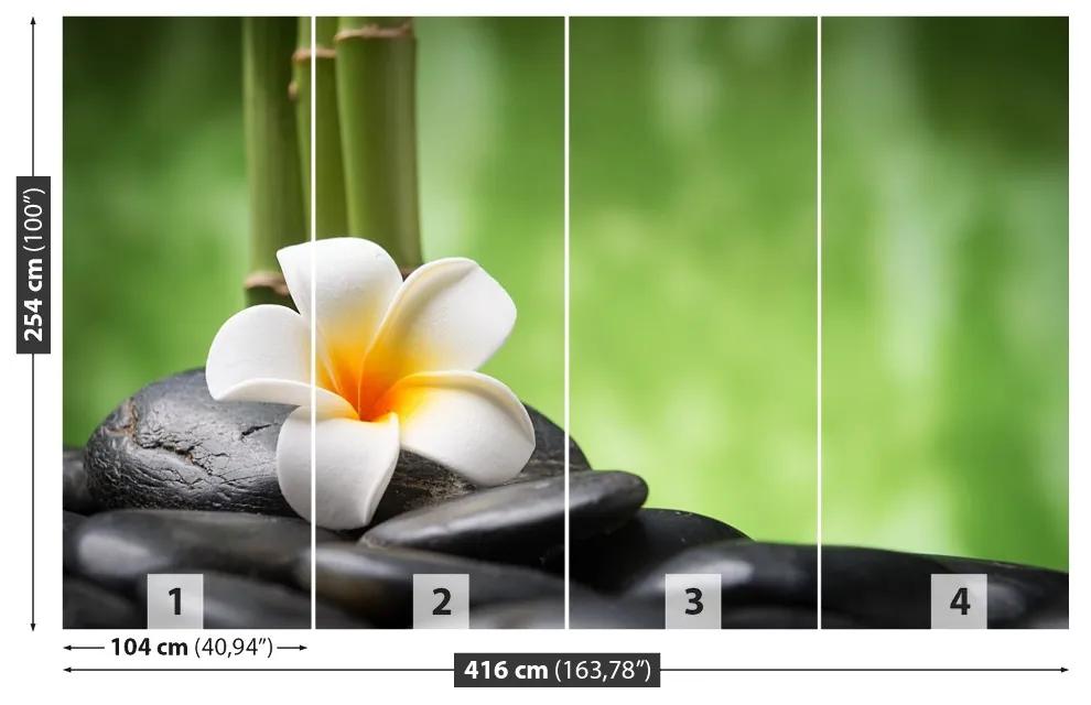 Fototapeta Vliesová Kúpele kvetina 250x104 cm