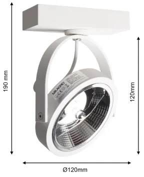 Nástenné bodové svietidlo LUGAR 1xAR111 - GU10/25W/230V