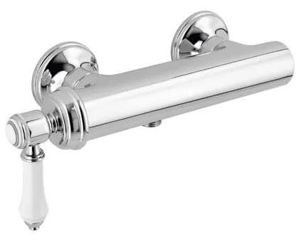 Nástenná sprchová batéria v lesklej striebornej farbe (1 výstup) Vienna – Sapho