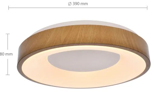 Brilagi - LED Stmievateľné stropné svietidlo DORIA LED/48W/230V 3000-6500K + DO