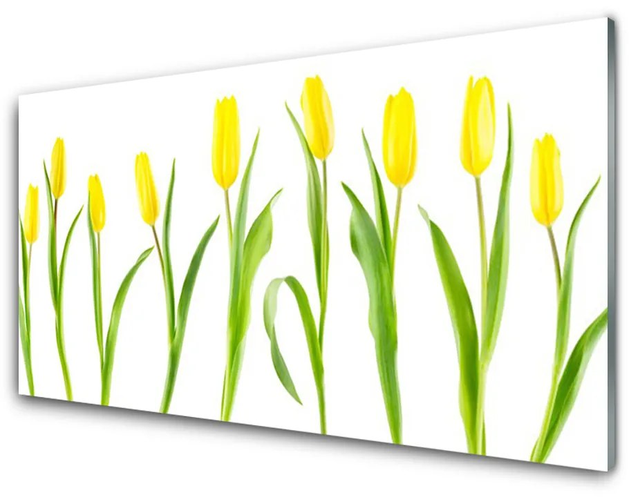 Sklenený obklad Do kuchyne Žlté tulipány kvety 100x50 cm