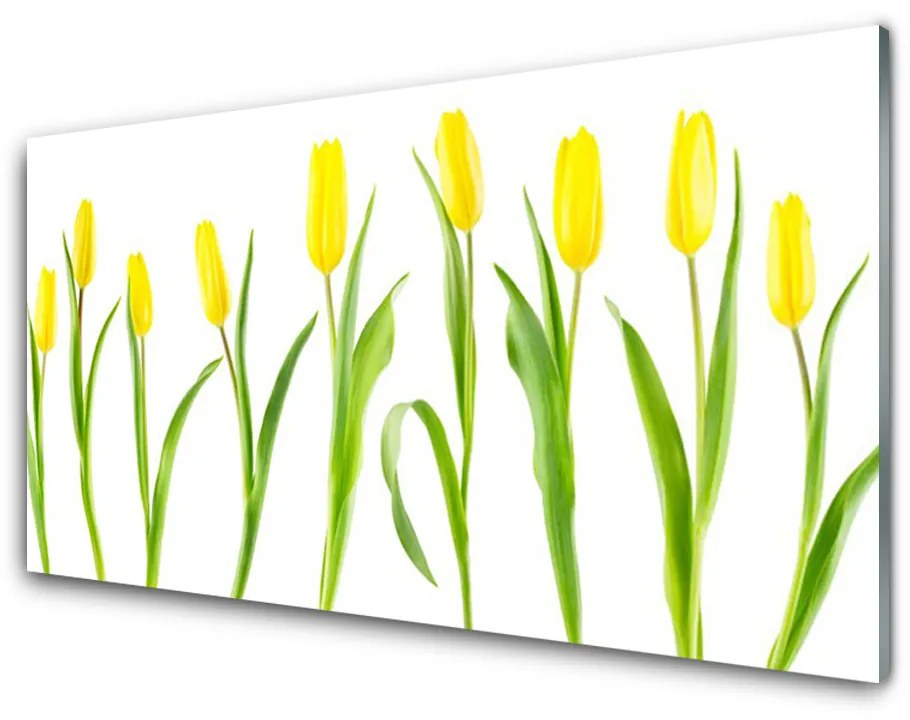 Sklenený obklad Do kuchyne Žlté tulipány kvety 120x60 cm