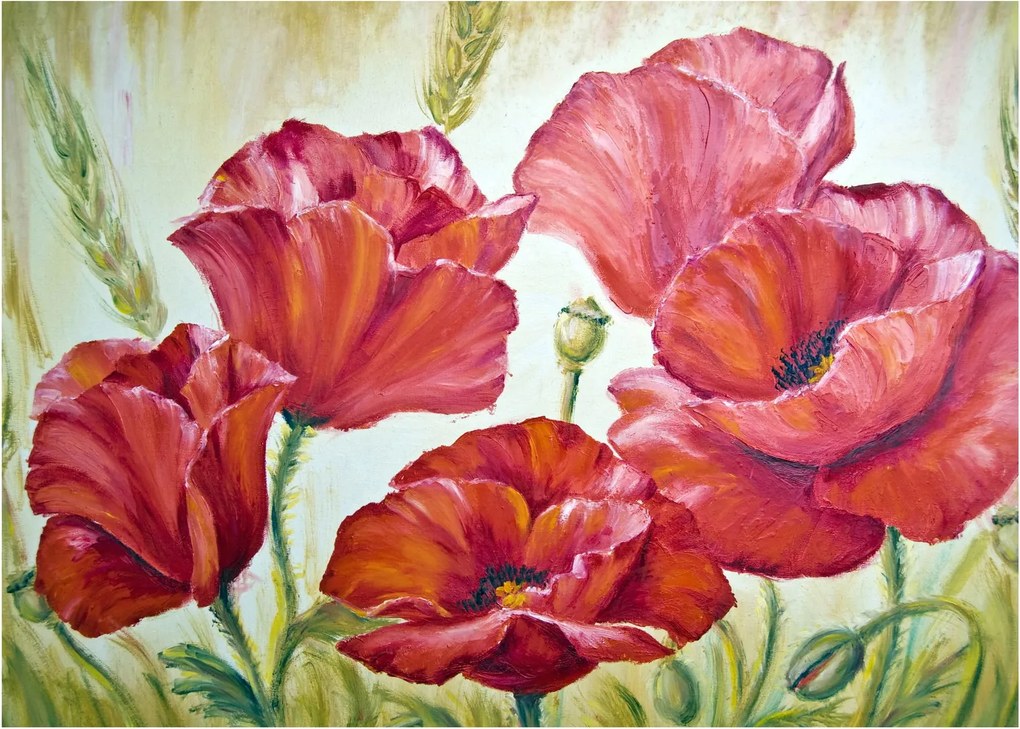 Obraz - Kvety vlčích makov (70x50 cm)