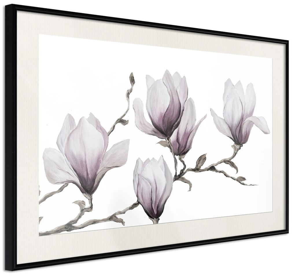 Artgeist Plagát - Painted Magnolias [Poster] Veľkosť: 90x60, Verzia: Zlatý rám