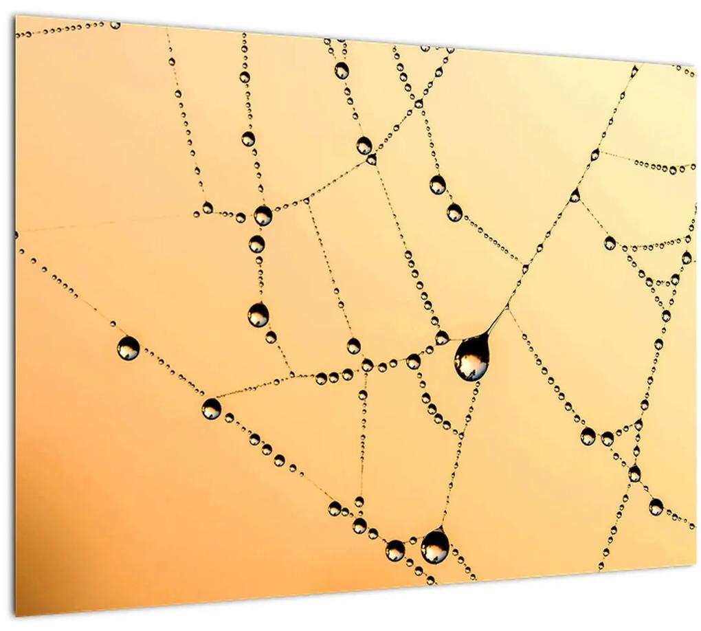 Sklenený obraz orosenej pavučiny (70x50 cm)